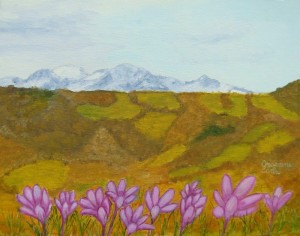 Apuane innevate inizio della primavera – olio su tela cm. 30×24