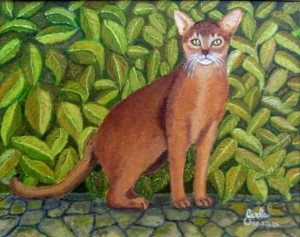 gatto abissino – 2016 olio su tela cm. 24×30