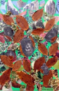 OMAGGIO A DIAN FOSSEY COLLAGE 50X70